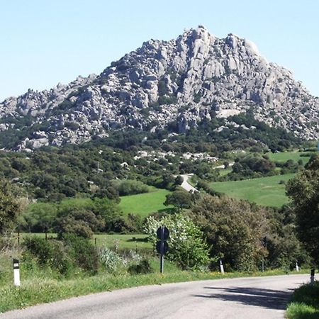 La Vignaredda - Residenza Di Charme Hotel Aggius Bagian luar foto