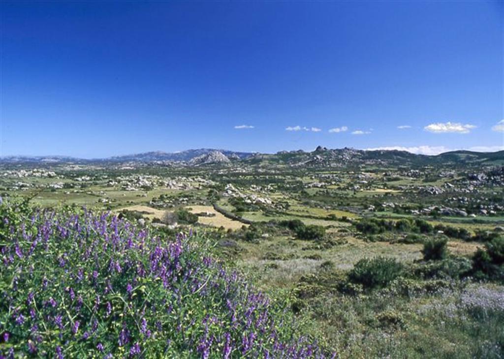 La Vignaredda - Residenza Di Charme Hotel Aggius Bagian luar foto