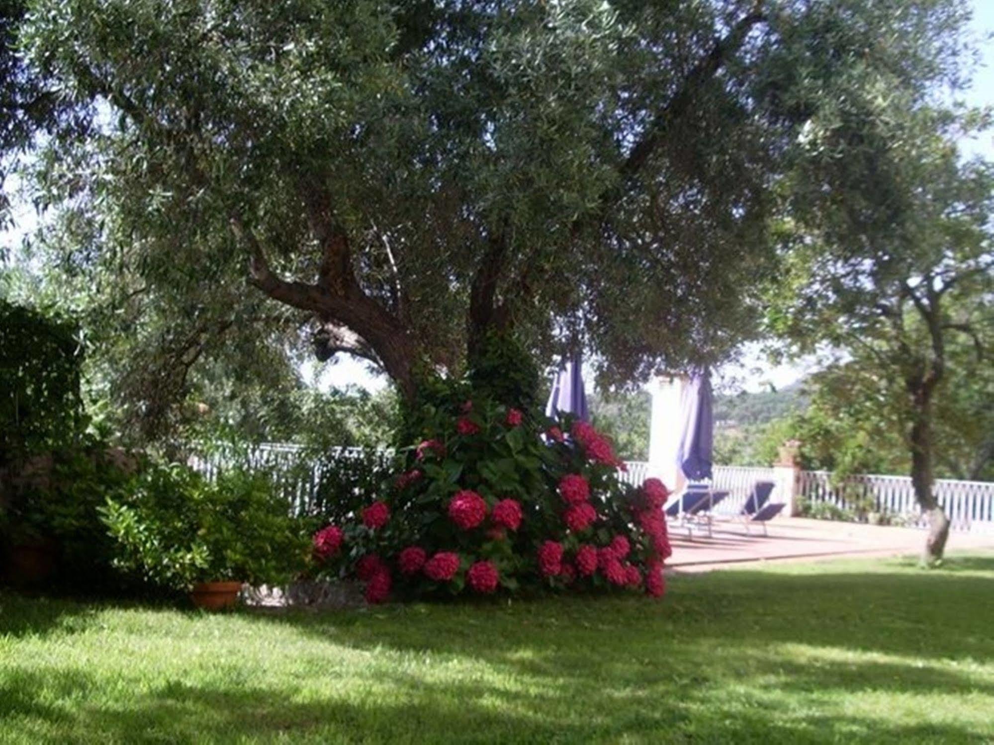 La Vignaredda - Residenza Di Charme Hotel Aggius Bagian luar foto