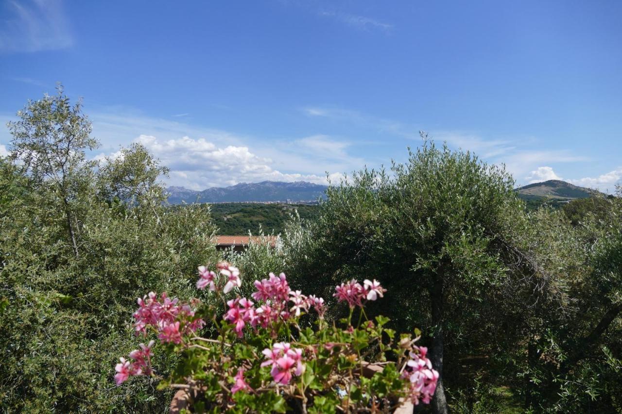 La Vignaredda - Residenza Di Charme Hotel Aggius Bagian luar foto